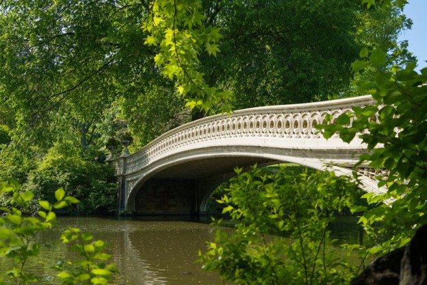 Image of Bridge in Central Park